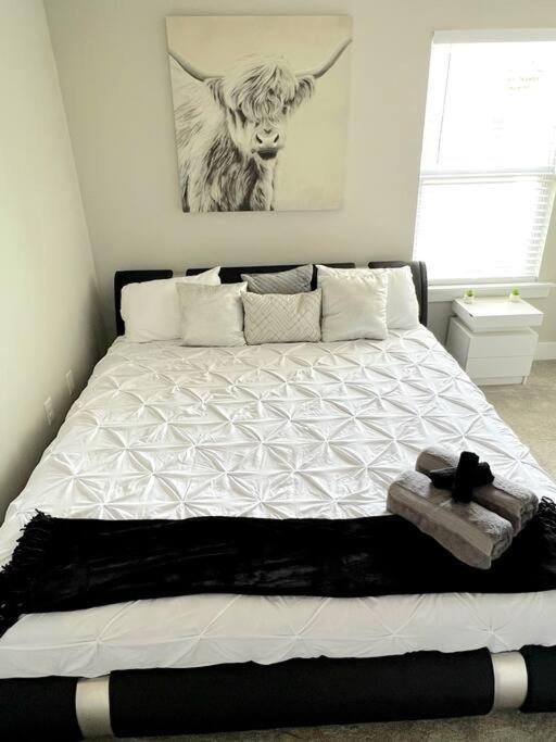 Brand New Build 10 Min- Uptown * Charlotte